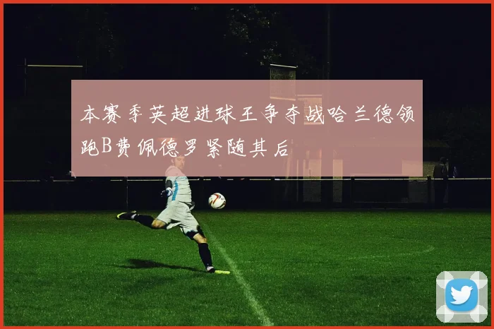 本赛季英超进球王争夺战哈兰德领跑B费佩德罗紧随其后